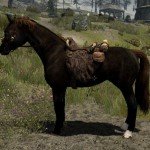 Новая-порода-лошадей